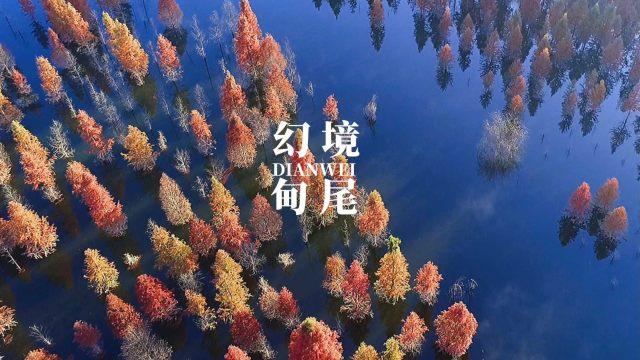 爱的魔力