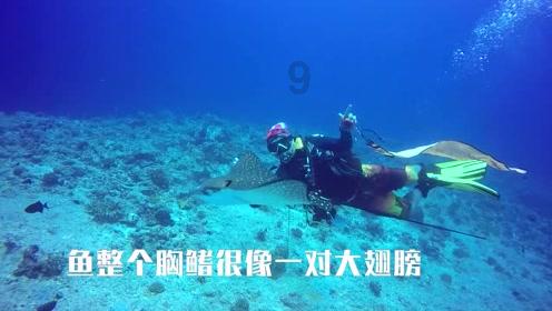 你拍过那种再也拍不出第二次的“人生照片”吗？