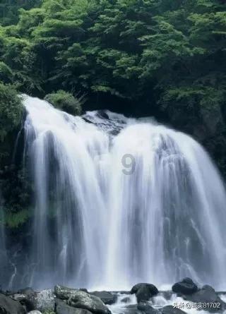 月光影视