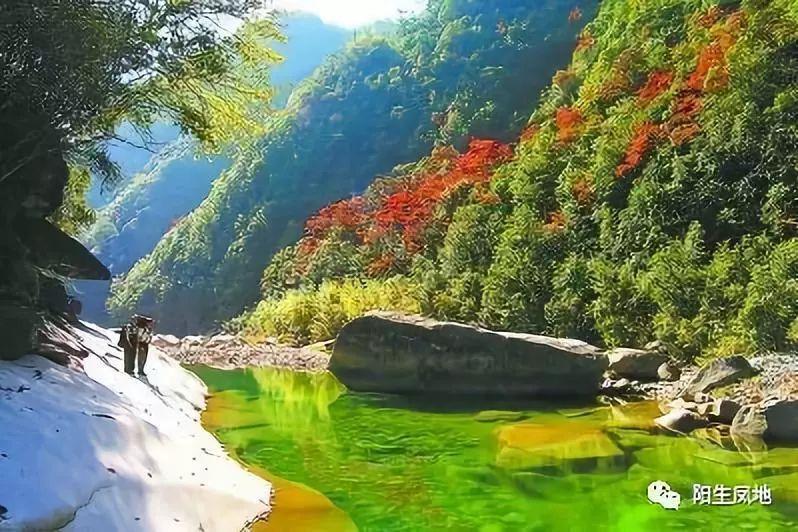 电脑系统那个比较好用-专业的问答类网站