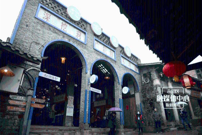 解救金刚鹦鹉