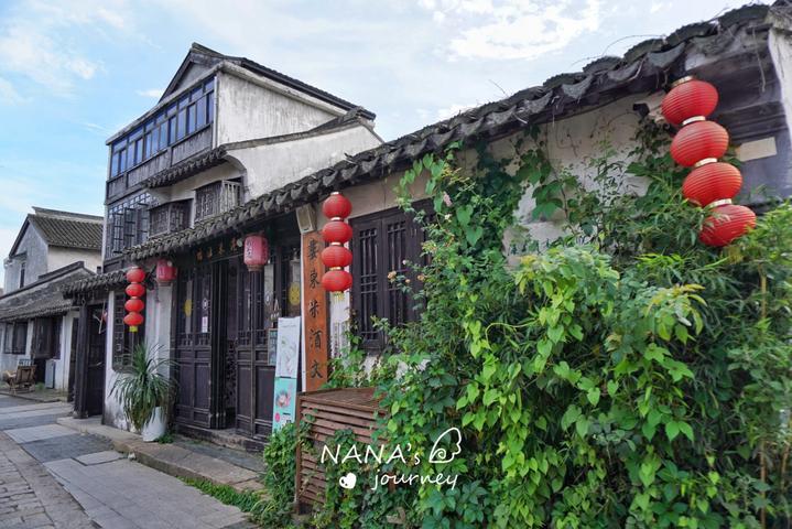 海王星VS僵尸军团
